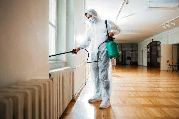 Reliable Mechanicsville, VA Pest Control Solutions